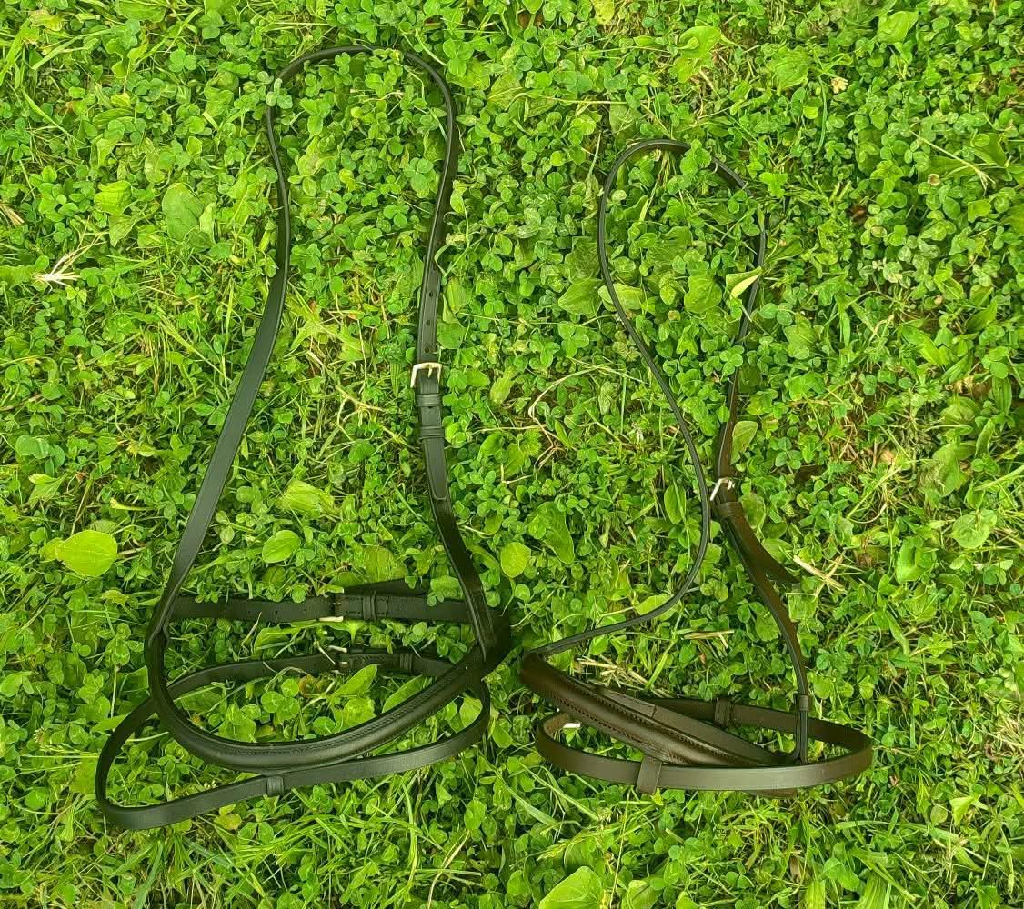 Anglické nanosniky